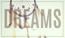 Ekotorba DREAMS