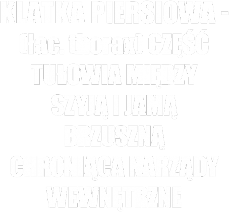 Klatka piersiowa