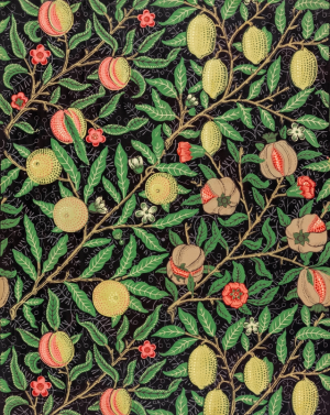 Bluza męska Owoce - nadruk