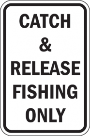 catch and release 3