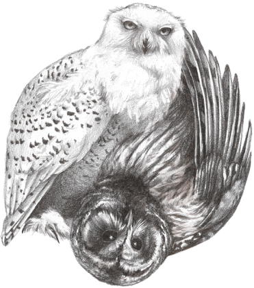 Kubek. Symbol Ying-Yang.