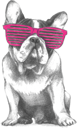 T-shirt Damski. Stylowy Bulldog.
