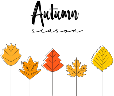 TORBA - JESIEŃ - AUTUMN
