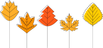 TORBA - JESIEŃ - AUTUMN