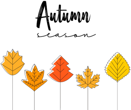 TORBA - JESIEŃ - AUTUMN