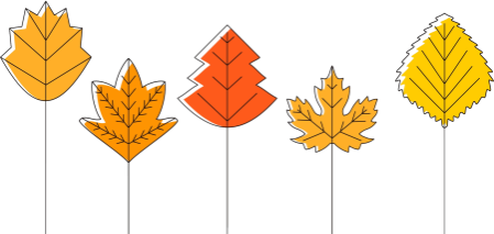 TORBA - JESIEŃ - AUTUMN