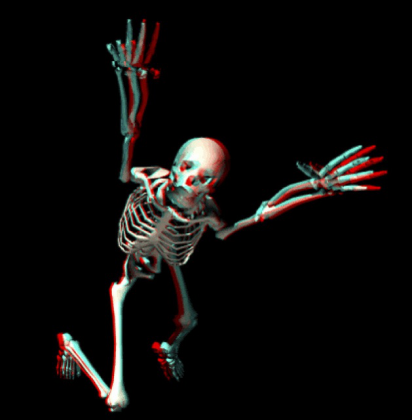 Skeleton