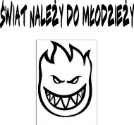 Koszulka męska ,,Świat należy do młodzieży