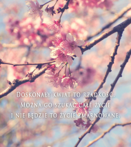 Doskonały kwiat - BlueSky