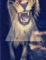 Bluza "Tiger"