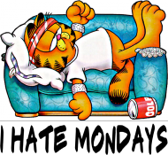 T-shirt Garfield - I Hate Mondays dziecięcy