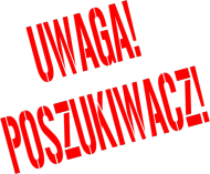 Bluza "Polskie wykopki"