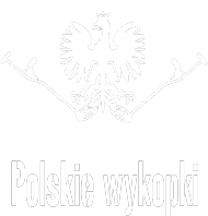 Koszulka damska "Polskie wykopki"