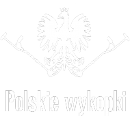 Bluza 2 "Polskie wykopki"