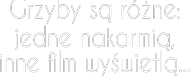 Grzyby są różne: jedne nakarmią, inne film wyświetlą...