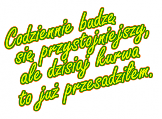 codziennie (poduszka)