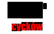 Cycki