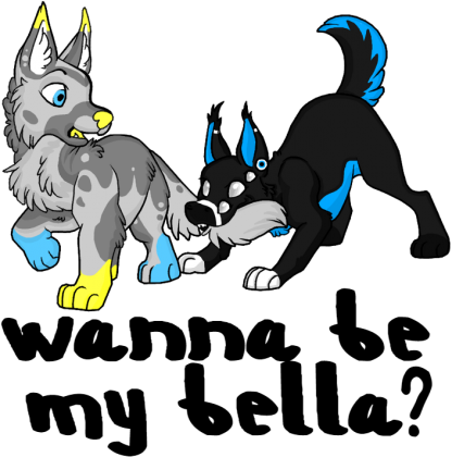 Koszulka "Wanna Be My Bella?" | wiele kolorów |Chłopiec