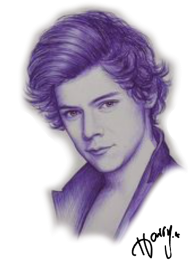 Bluzka Harry Styles