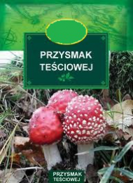 Przysmak Teściowej