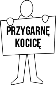 Przygarnę kocicę