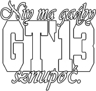 Bluza z kapucom " Niy ma gańby sznupoć"