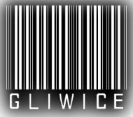 gliwice3