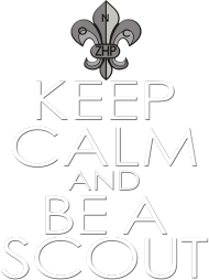 Keep calm and be a scout7