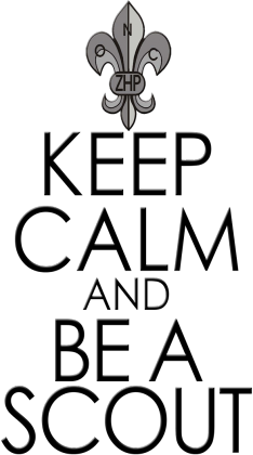 Keep calm and be a scout11