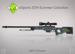 CS-GO