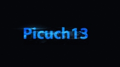 Picuch13