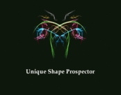uniqueshapeprospector