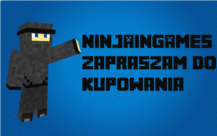 ninjaingames