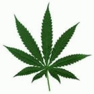 jamaica