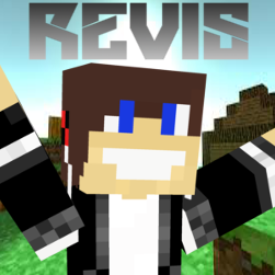 ReVis_Shop