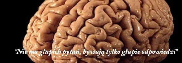 Umysł i życie