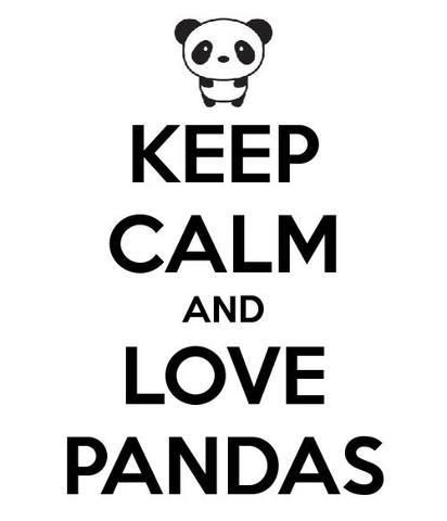 modl_sie_pan_da