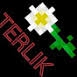Terlik Shop