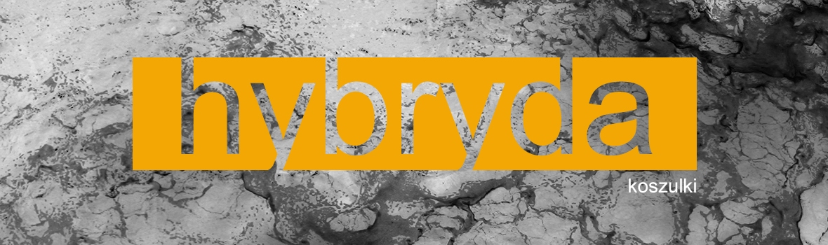 hybryda