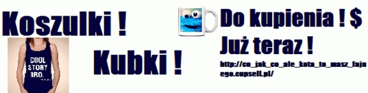co_jak_co_ale_kota_to_masz_fajnego