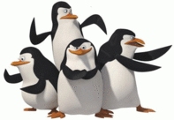 pingwinyzmadagaskaru