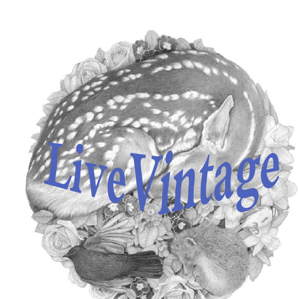 LiveVintage