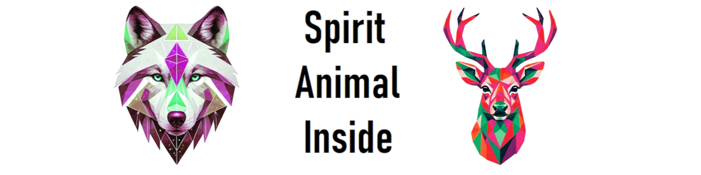 MyAnimalSpirit