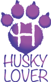 Husky Lover