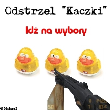 Bluski i Koszulki Kojota