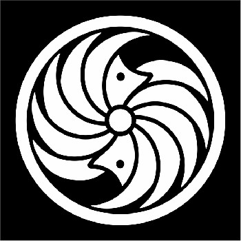 YORGI studio