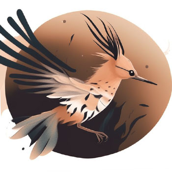 HoopoeWings