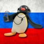 Pingu