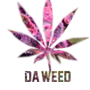 DAWIDZIOR