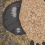 evilmoth